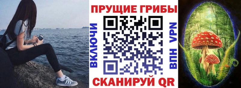 мориарти формула Нижняя Тура Псилоцибиновые грибы Cubensis наркота